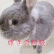 ヒメ日記 2025/08/06 15:09 投稿 美紀(みき) 渋谷蘭の会