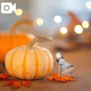 ヒメ日記 2025/08/18 18:45 投稿 美紀(みき) 渋谷蘭の会