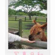 ヒメ日記 2025/08/19 17:35 投稿 美紀(みき) 渋谷蘭の会