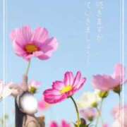 ヒメ日記 2025/08/22 05:15 投稿 美紀(みき) 渋谷蘭の会