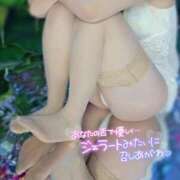 ヒメ日記 2025/08/27 15:32 投稿 美紀(みき) 渋谷蘭の会