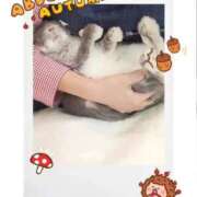 ヒメ日記 2025/09/01 17:25 投稿 美紀(みき) 渋谷蘭の会