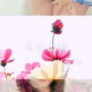 ヒメ日記 2025/09/06 10:05 投稿 美紀(みき) 渋谷蘭の会