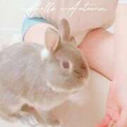 ヒメ日記 2025/09/11 18:06 投稿 美紀(みき) 渋谷蘭の会