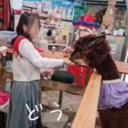 ヒメ日記 2025/09/20 20:45 投稿 美紀(みき) 渋谷蘭の会