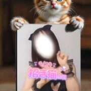 ヒメ日記 2025/09/29 15:45 投稿 美紀(みき) 渋谷蘭の会