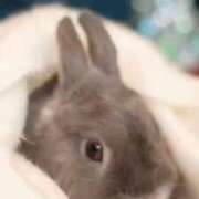 ヒメ日記 2025/10/06 17:05 投稿 美紀(みき) 渋谷蘭の会