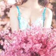 ヒメ日記 2025/10/10 12:25 投稿 美紀(みき) 渋谷蘭の会