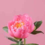 ヒメ日記 2025/10/11 08:15 投稿 美紀(みき) 渋谷蘭の会