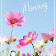 ヒメ日記 2025/10/14 05:55 投稿 美紀(みき) 渋谷蘭の会