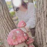 ヒメ日記 2025/10/15 15:35 投稿 美紀(みき) 渋谷蘭の会