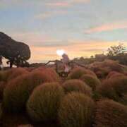 ヒメ日記 2025/10/19 15:25 投稿 美紀(みき) 渋谷蘭の会