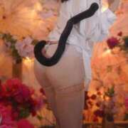 ヒメ日記 2025/10/26 12:25 投稿 美紀(みき) 渋谷蘭の会