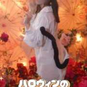 ヒメ日記 2025/10/27 15:25 投稿 美紀(みき) 渋谷蘭の会