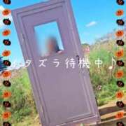 ヒメ日記 2025/10/31 08:15 投稿 美紀(みき) 渋谷蘭の会