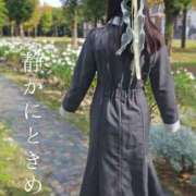 ヒメ日記 2025/11/05 12:45 投稿 美紀(みき) 渋谷蘭の会