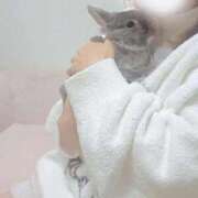 ヒメ日記 2025/11/16 22:48 投稿 美紀(みき) 渋谷蘭の会