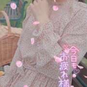 ヒメ日記 2025/11/19 15:25 投稿 美紀(みき) 渋谷蘭の会