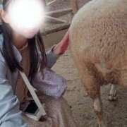 ヒメ日記 2025/11/24 12:45 投稿 美紀(みき) 渋谷蘭の会