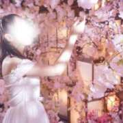 ヒメ日記 2025/12/04 22:25 投稿 美紀(みき) 渋谷蘭の会