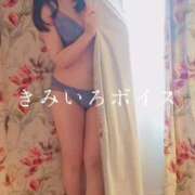 ヒメ日記 2025/12/08 08:15 投稿 美紀(みき) 渋谷蘭の会