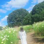 ヒメ日記 2025/12/19 12:25 投稿 美紀(みき) 渋谷蘭の会