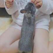 ヒメ日記 2026/01/04 21:05 投稿 美紀(みき) 渋谷蘭の会