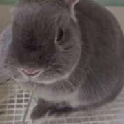 ヒメ日記 2026/01/24 08:05 投稿 美紀(みき) 渋谷蘭の会