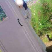 ヒメ日記 2026/01/25 17:25 投稿 美紀(みき) 渋谷蘭の会