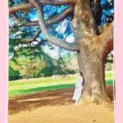 ヒメ日記 2026/01/27 08:45 投稿 美紀(みき) 渋谷蘭の会