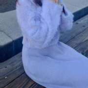 ヒメ日記 2026/01/28 12:25 投稿 美紀(みき) 渋谷蘭の会