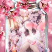 ヒメ日記 2026/02/20 08:07 投稿 美紀(みき) 渋谷蘭の会