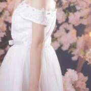 ヒメ日記 2026/02/24 04:35 投稿 美紀(みき) 渋谷蘭の会