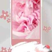 ヒメ日記 2026/02/24 08:15 投稿 美紀(みき) 渋谷蘭の会