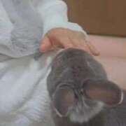 ヒメ日記 2026/02/26 08:05 投稿 美紀(みき) 渋谷蘭の会