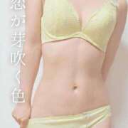 ヒメ日記 2026/03/08 12:45 投稿 美紀(みき) 渋谷蘭の会