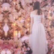 ヒメ日記 2026/03/11 12:45 投稿 美紀(みき) 渋谷蘭の会