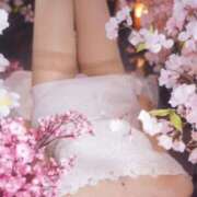 ヒメ日記 2026/03/15 21:25 投稿 美紀(みき) 渋谷蘭の会