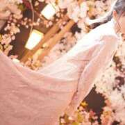 ヒメ日記 2026/03/20 12:05 投稿 美紀(みき) 渋谷蘭の会