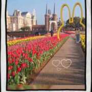 ヒメ日記 2026/03/23 08:15 投稿 美紀(みき) 渋谷蘭の会