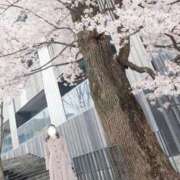 ヒメ日記 2026/03/25 12:45 投稿 美紀(みき) 渋谷蘭の会