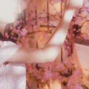 ヒメ日記 2026/03/30 08:05 投稿 美紀(みき) 渋谷蘭の会