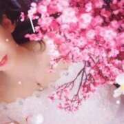 ヒメ日記 2026/04/05 09:35 投稿 美紀(みき) 渋谷蘭の会