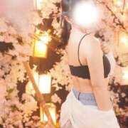 ヒメ日記 2026/04/09 12:35 投稿 美紀(みき) 渋谷蘭の会