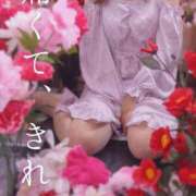 ヒメ日記 2026/04/14 12:45 投稿 美紀(みき) 渋谷蘭の会