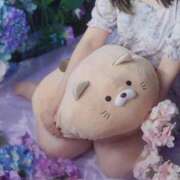 ヒメ日記 2026/05/06 19:05 投稿 美紀(みき) 渋谷蘭の会