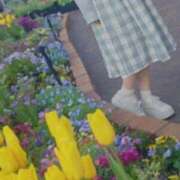 ヒメ日記 2026/05/20 12:35 投稿 美紀(みき) 渋谷蘭の会