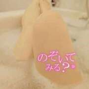 ヒメ日記 2026/06/14 00:45 投稿 美紀(みき) 渋谷蘭の会