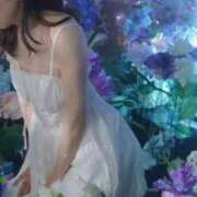 ヒメ日記 2026/06/29 08:15 投稿 美紀(みき) 渋谷蘭の会