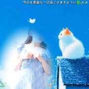 ヒメ日記 2026/08/17 08:05 投稿 美紀(みき) 渋谷蘭の会